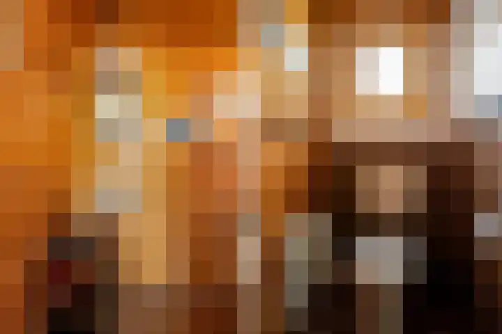 Boszichtlaan 3 Apeldoorn thumbnail 9