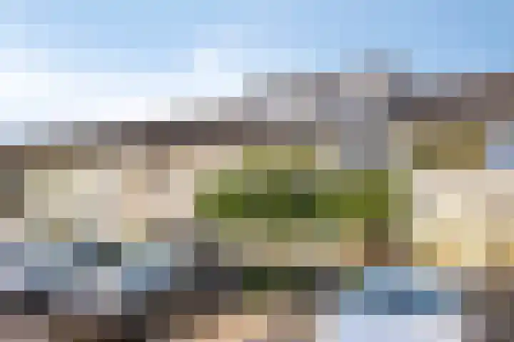 Boszoom 25 Marknesse