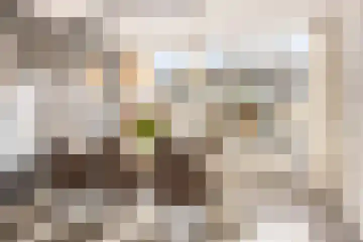 Boszoom 25 Marknesse thumbnail 11