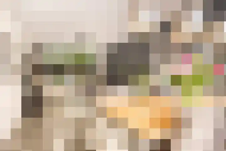 Boszoom 25 Marknesse thumbnail 12