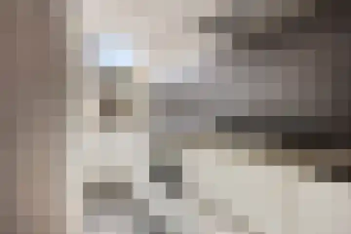 Boszoom 25 Marknesse thumbnail 16