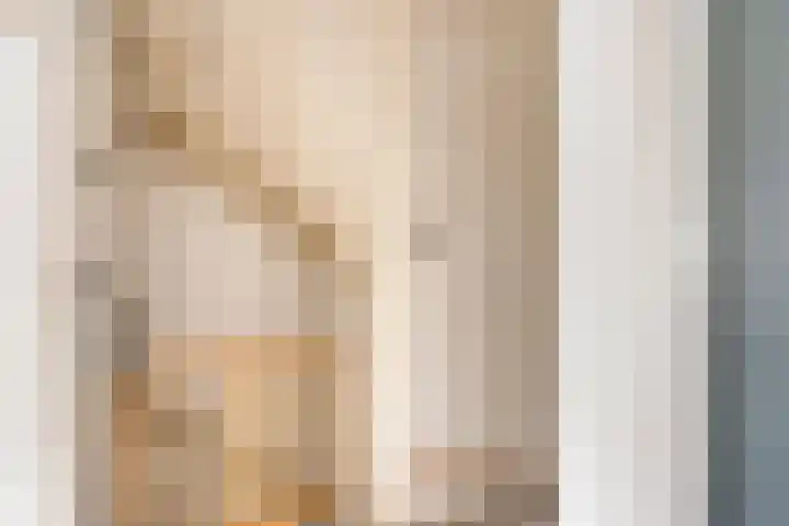 Boszoom 25 Marknesse thumbnail 18
