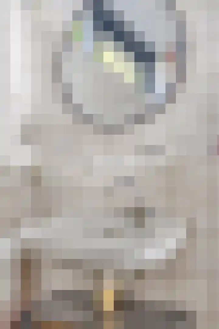 Boszoom 25 Marknesse thumbnail 22