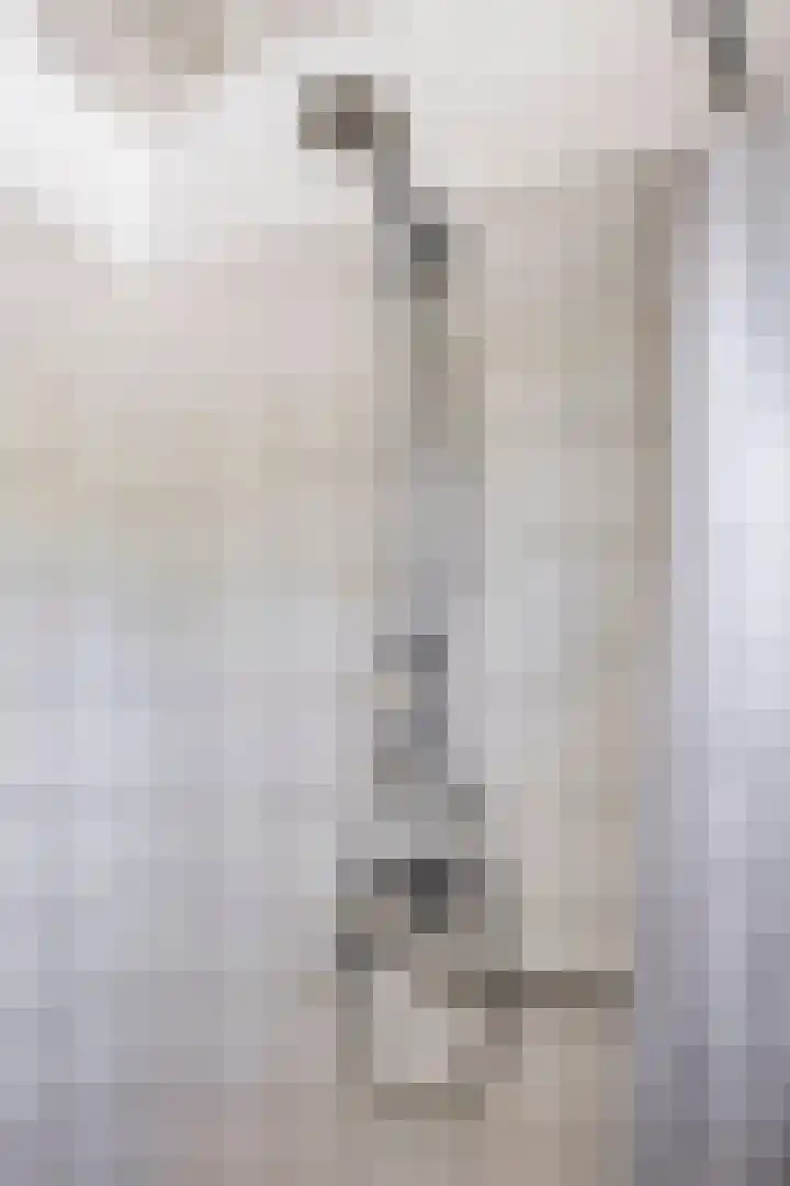 Boszoom 25 Marknesse thumbnail 23