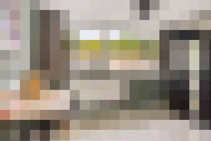 Boszoom 25 Marknesse thumbnail 25