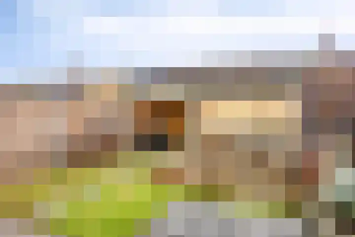 Boszoom 25 Marknesse thumbnail 34