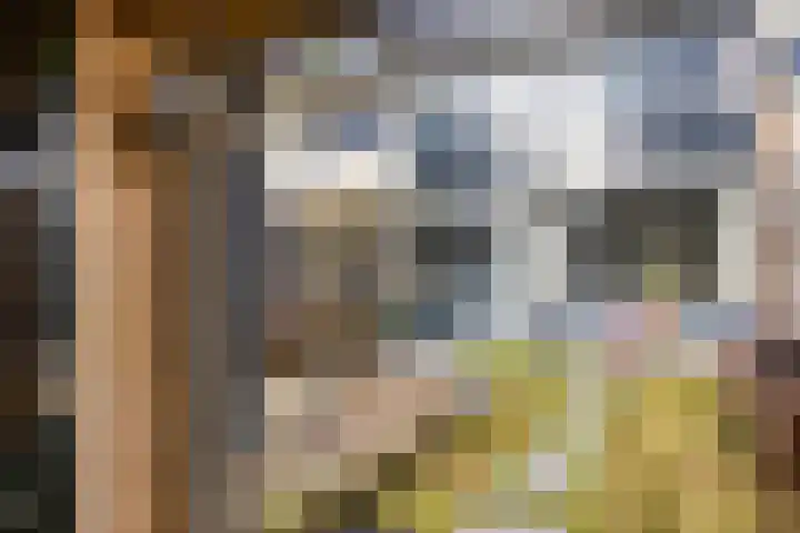 Boszoom 25 Marknesse thumbnail 35