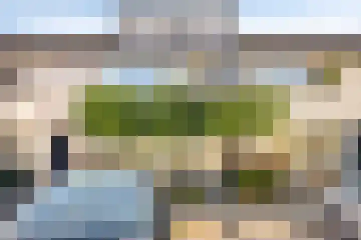 Boszoom 25 Marknesse thumbnail 6