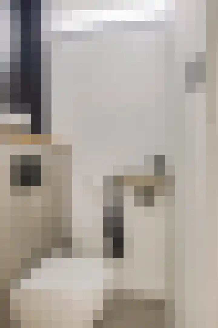 Boszoom 25 Marknesse thumbnail 8