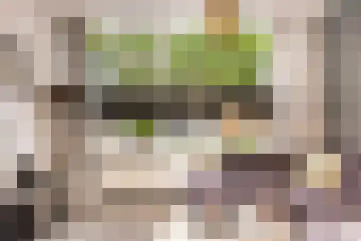 Boszoom 25 Marknesse thumbnail 9