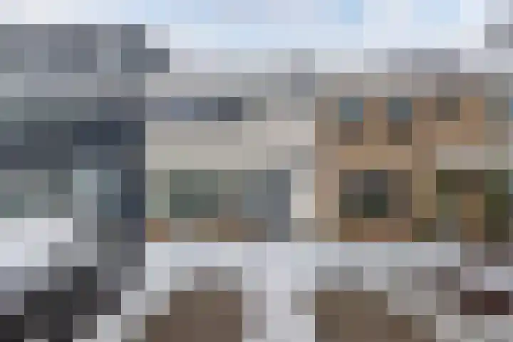 Boszoom 27 Marknesse