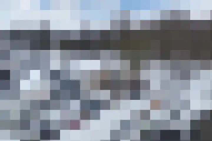 Boszoom 27 Marknesse thumbnail 10
