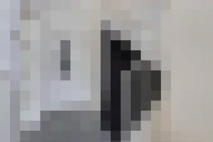 Boszoom 27 Marknesse thumbnail 11