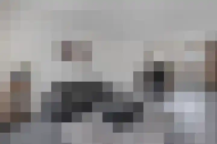 Boszoom 27 Marknesse thumbnail 16