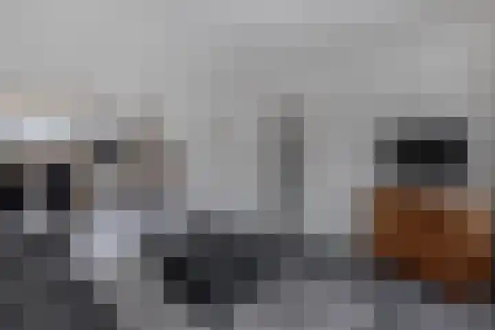 Boszoom 27 Marknesse thumbnail 17