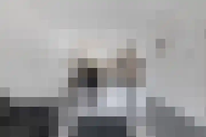 Boszoom 27 Marknesse thumbnail 18