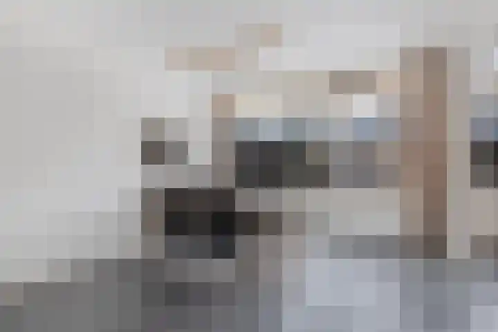 Boszoom 27 Marknesse thumbnail 19
