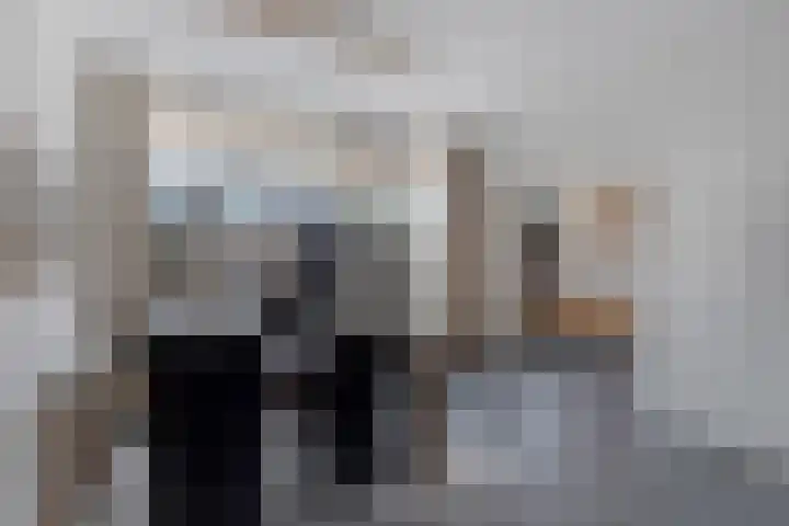 Boszoom 27 Marknesse thumbnail 20