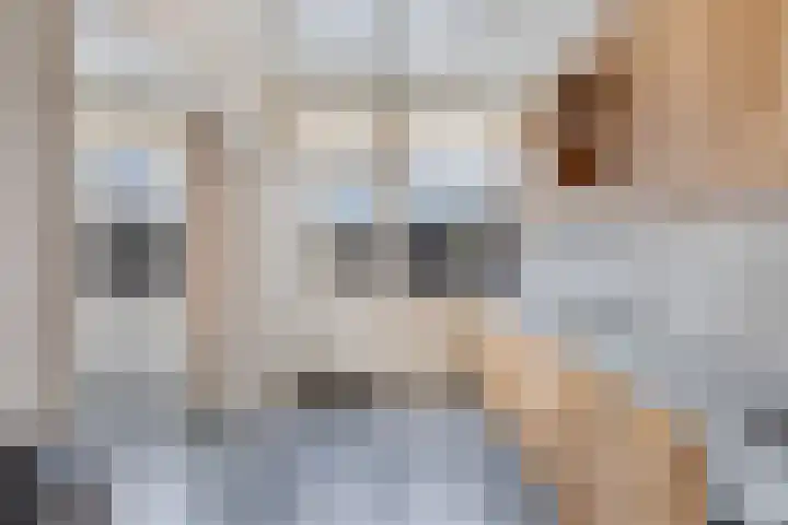 Boszoom 27 Marknesse thumbnail 24