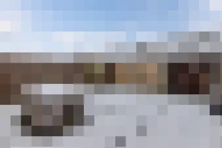 Boszoom 27 Marknesse thumbnail 25
