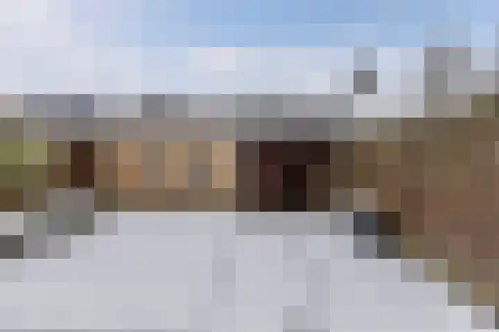 Boszoom 27 Marknesse thumbnail 26