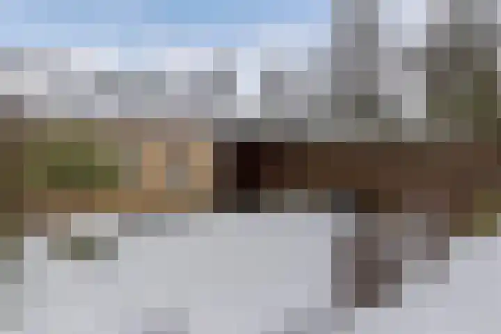 Boszoom 27 Marknesse thumbnail 27