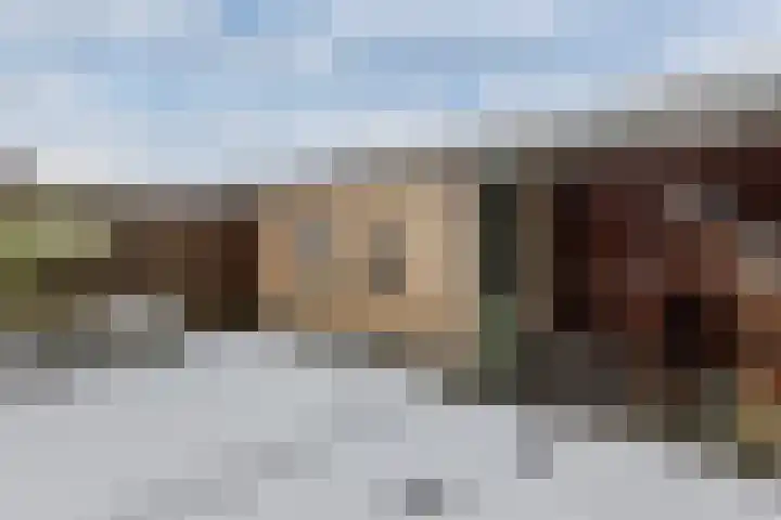 Boszoom 27 Marknesse thumbnail 28