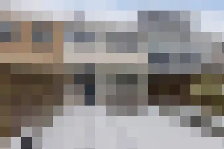 Boszoom 27 Marknesse thumbnail 30