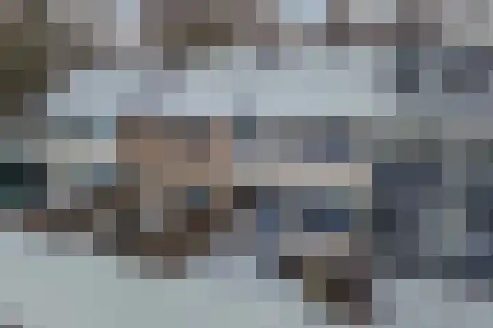Boszoom 27 Marknesse thumbnail 31