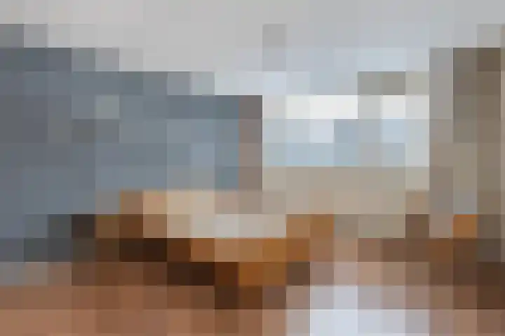 Boszoom 27 Marknesse thumbnail 33