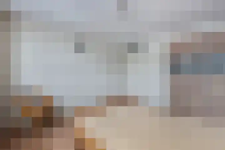 Boszoom 27 Marknesse thumbnail 35