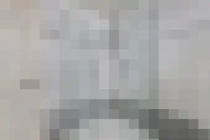 Boszoom 27 Marknesse thumbnail 38