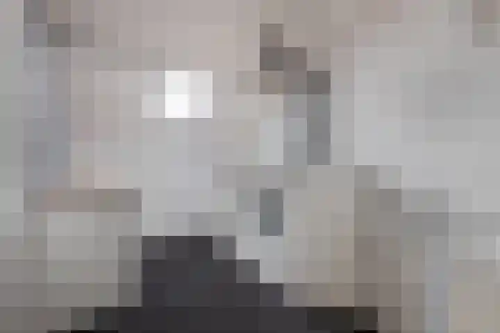 Boszoom 27 Marknesse thumbnail 39