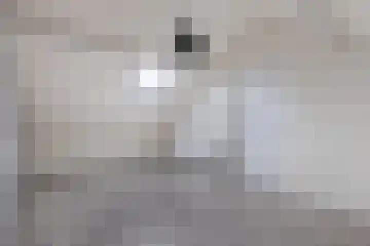 Boszoom 27 Marknesse thumbnail 40