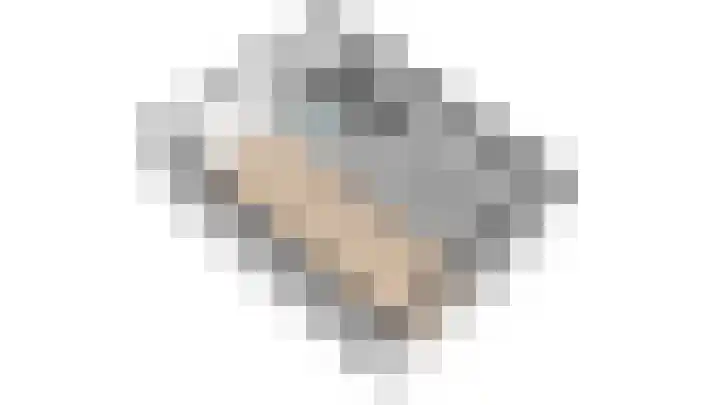 Boszoom 27 Marknesse thumbnail 42