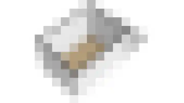 Boszoom 27 Marknesse thumbnail 48