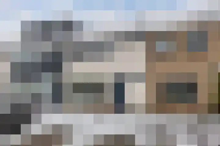 Boszoom 27 Marknesse thumbnail 5