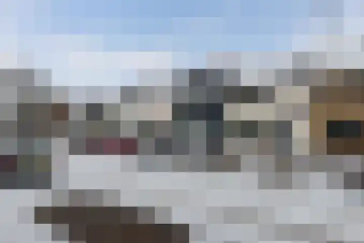 Boszoom 27 Marknesse thumbnail 6
