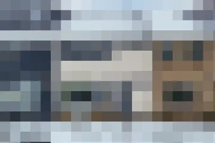 Boszoom 27 Marknesse thumbnail 7