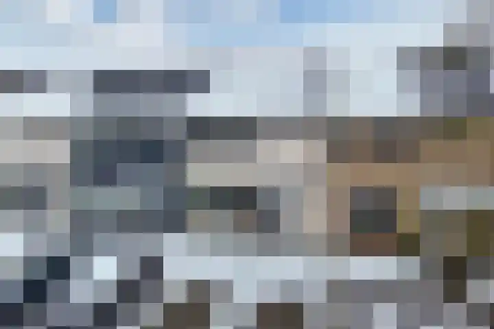 Boszoom 27 Marknesse thumbnail 8