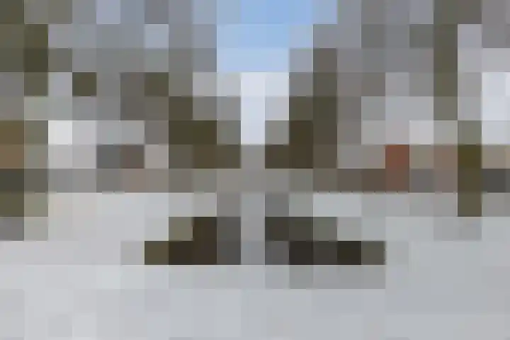 Boszoom 27 Marknesse thumbnail 9