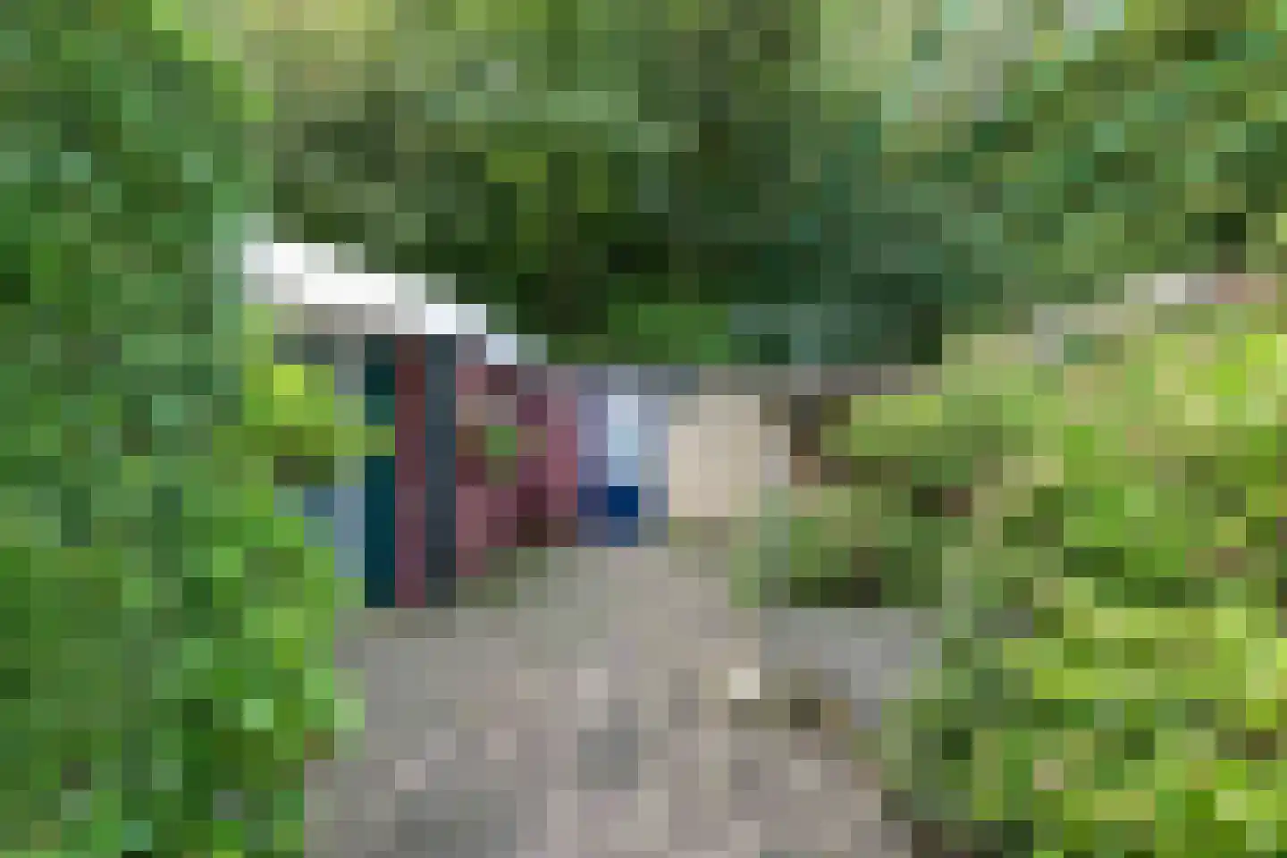 Boszoom 32 Marknesse thumbnail 10