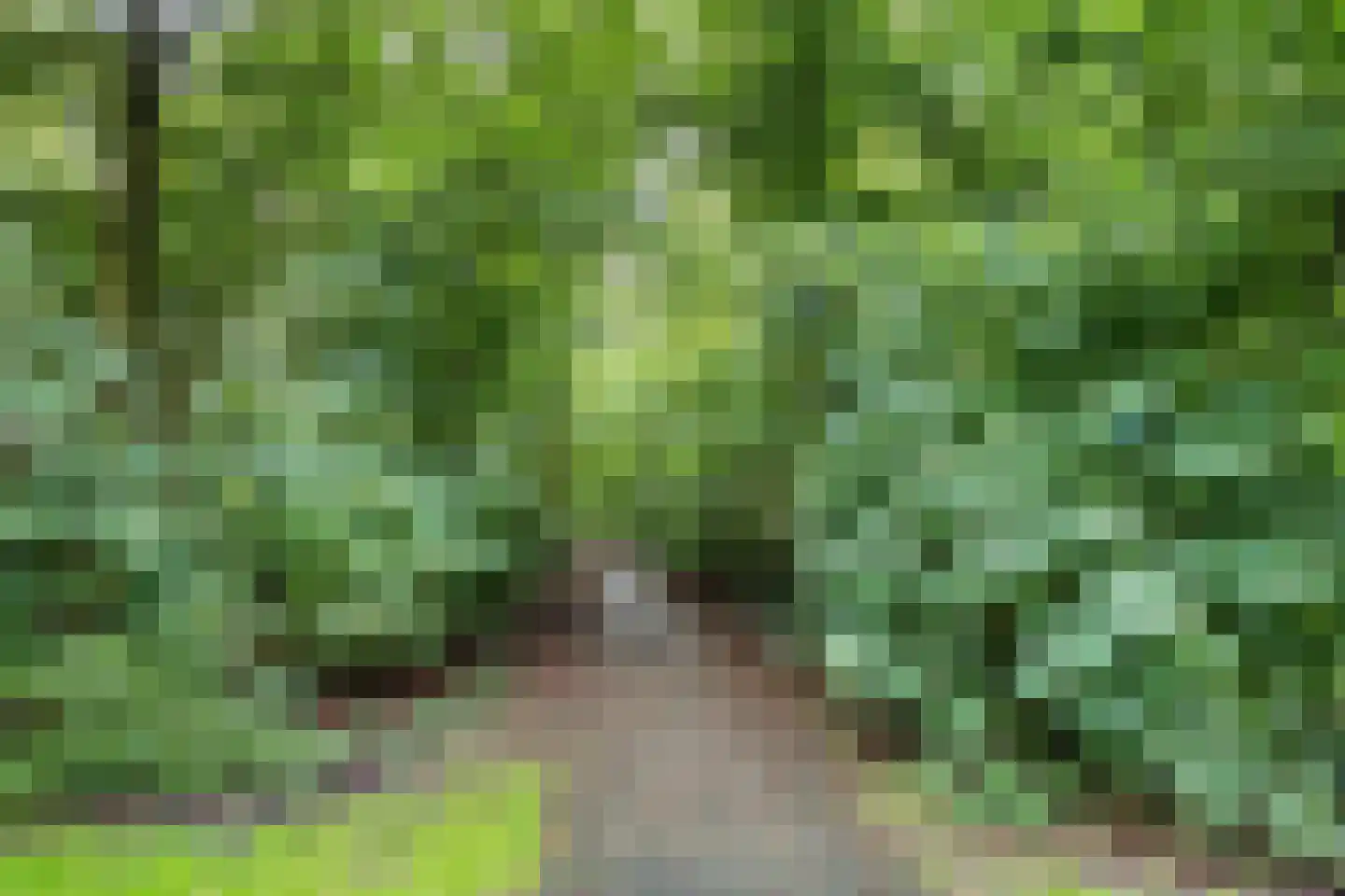 Boszoom 32 Marknesse thumbnail 12