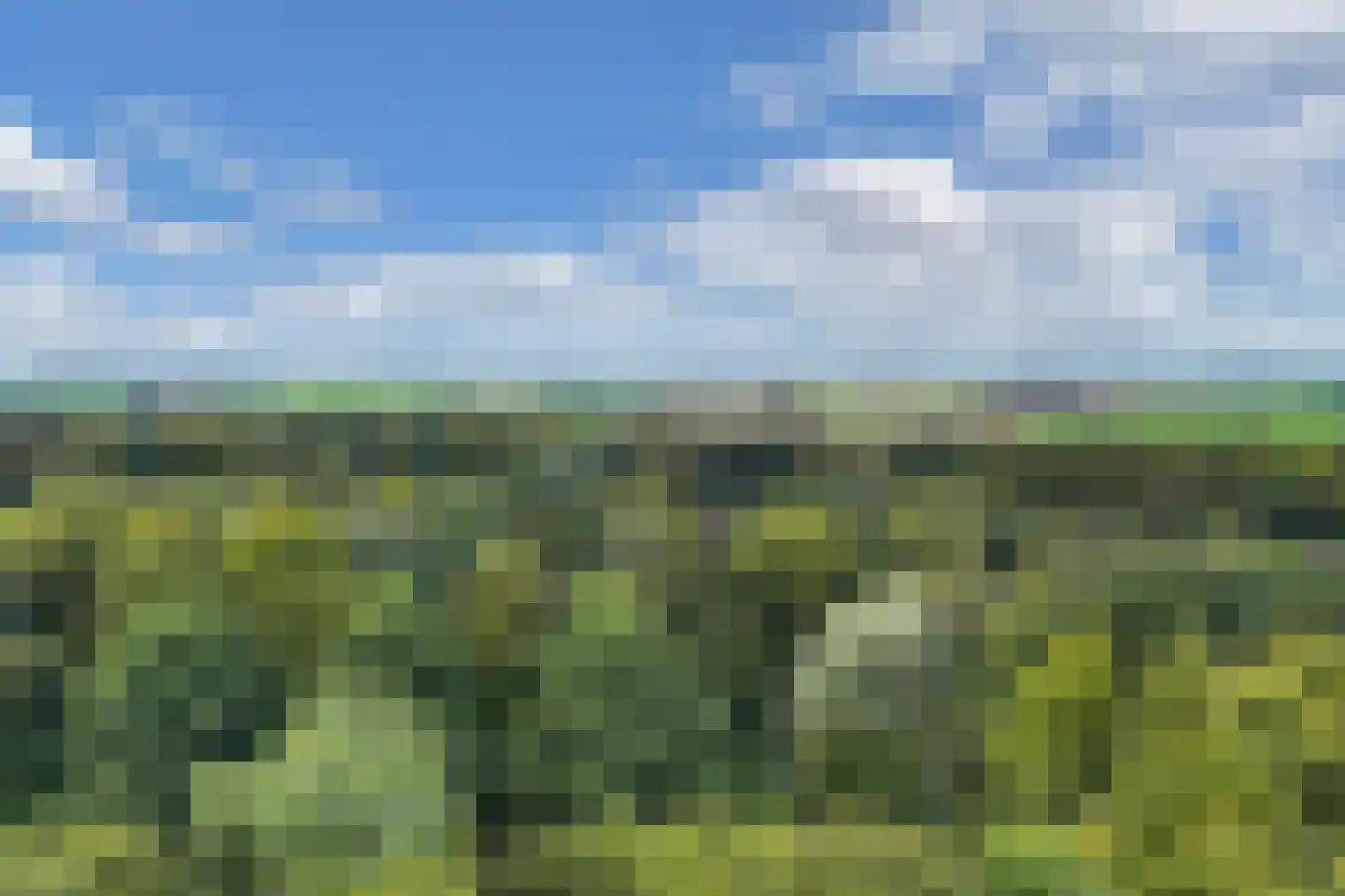 Boszoom 32 Marknesse thumbnail 13