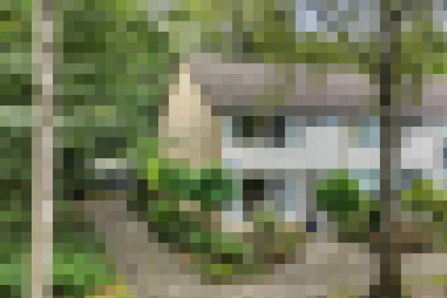 Boszoom 32 Marknesse thumbnail 16