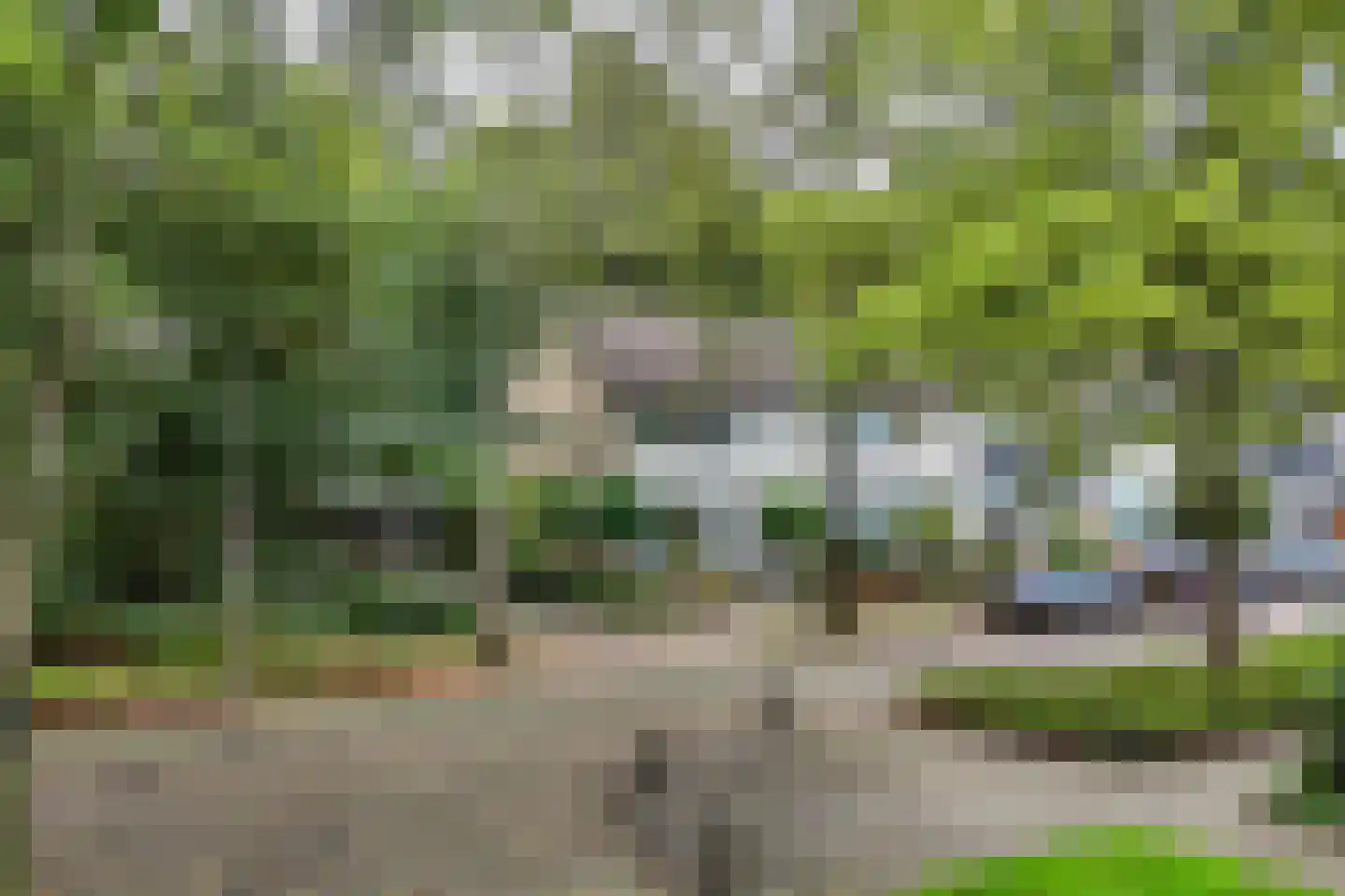 Boszoom 32 Marknesse thumbnail 17