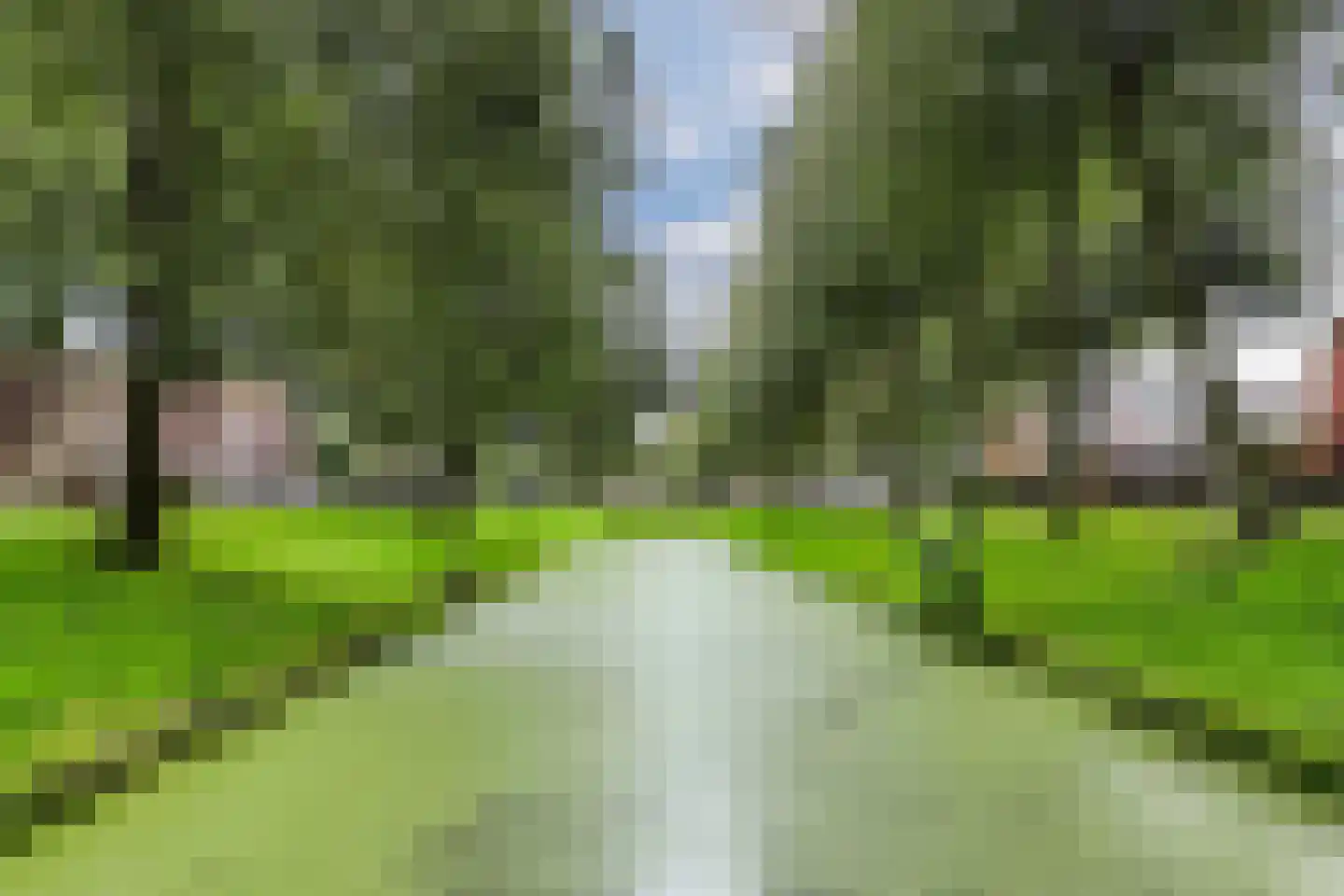 Boszoom 32 Marknesse thumbnail 18