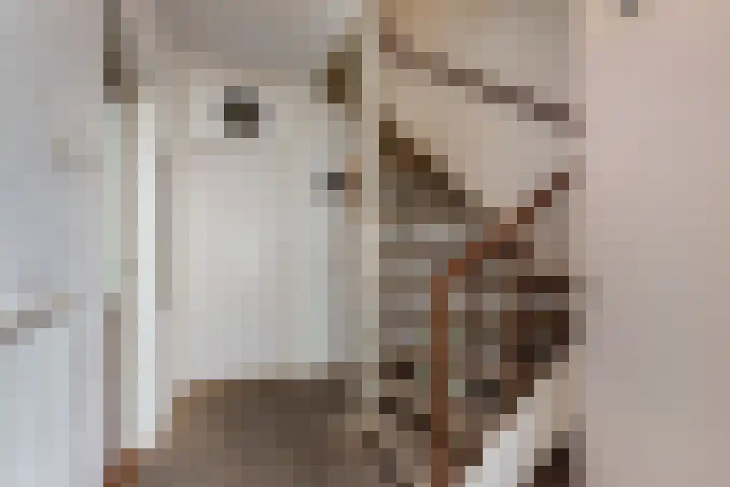 Boszoom 32 Marknesse thumbnail 20