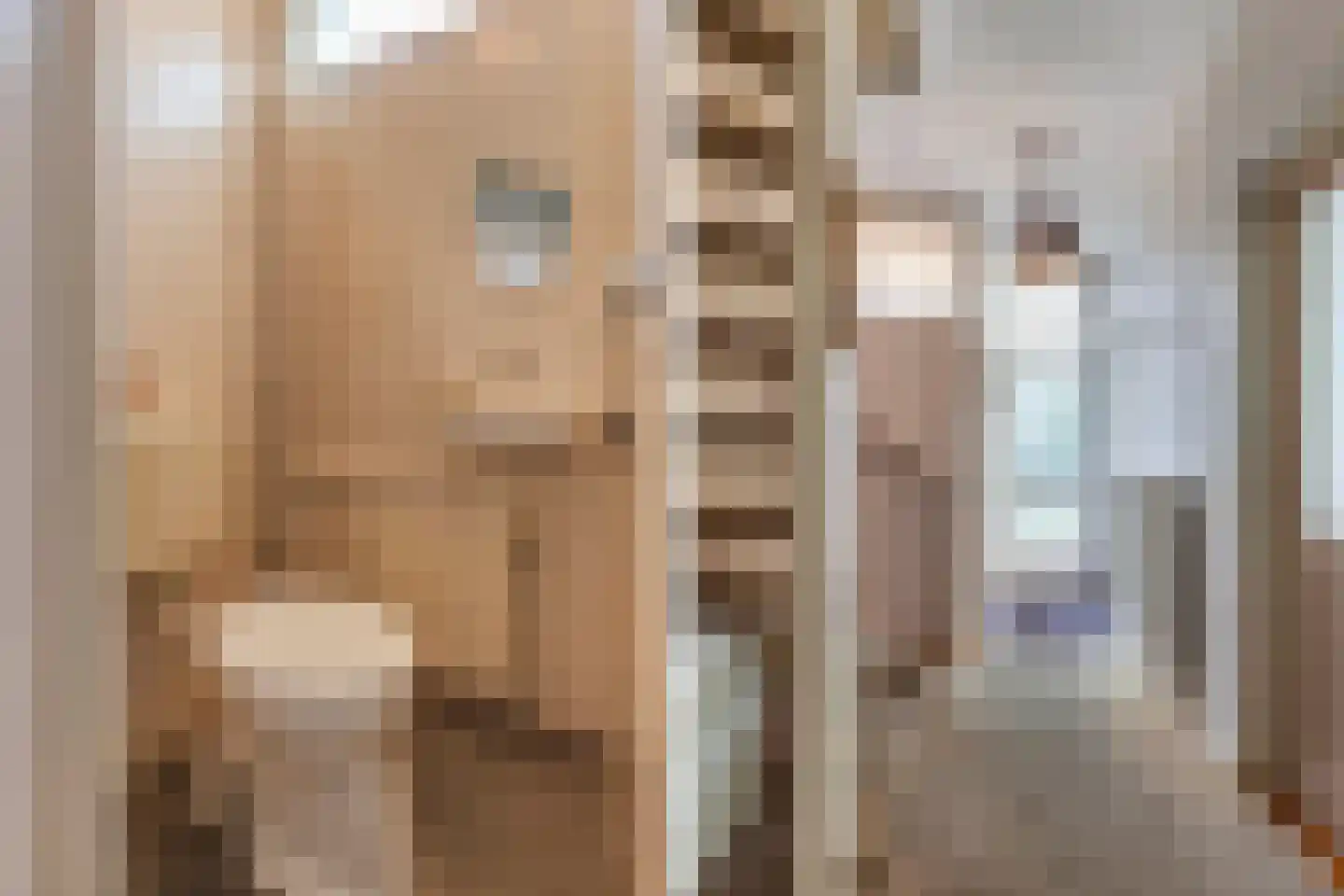 Boszoom 32 Marknesse thumbnail 21