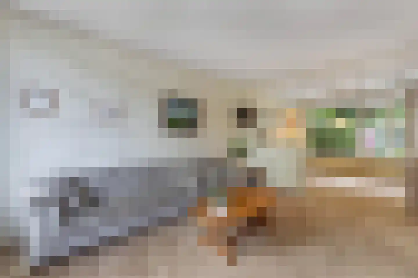 Boszoom 32 Marknesse thumbnail 24